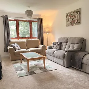  Apartamento Spacious, And Newly Decorated